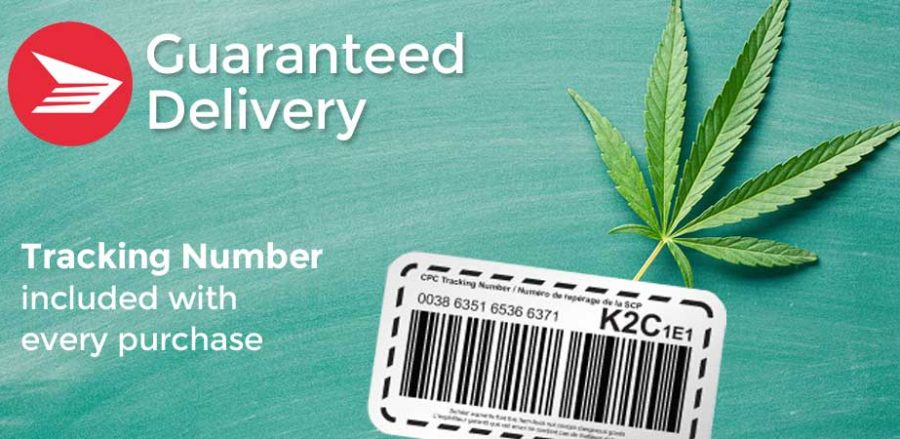 Online Dispensary Canada. Buy Lab-Tested Medical Cannabis Online